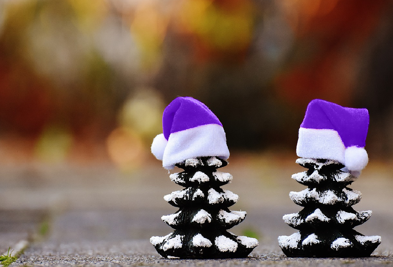 A Purple Christmas