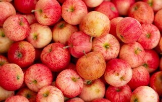 Nourishing Ourselves and Harvesting the Richness of Nature