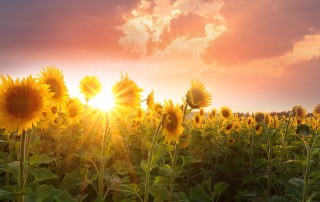 How to Feel Better When the Seasons Change? 6 Ways to Live Inspirited