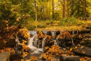 Causes And Cures For Autumn Anxiety