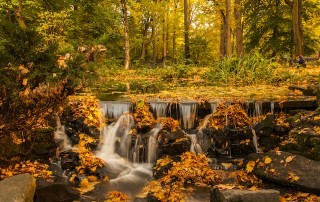 Causes And Cures For Autumn Anxiety