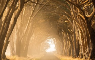 Living Life with Intention- Habits vs. Intentions on the Road to Self Discovery