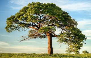 Our Higher Self: Letting Go of Perfection