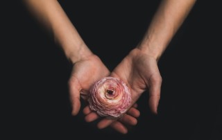 As we move rapidly toward Thanksgiving here in the US and the beginning of the Holiday Season around the world, I find myself a bit more reflective, and focusing energy on gratitude. One of Inspirited Living’s Daily Introspectives captures the sentiment for me.