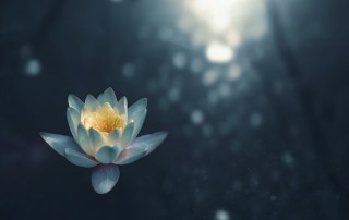 Our Higher Self: Getting Unstuck