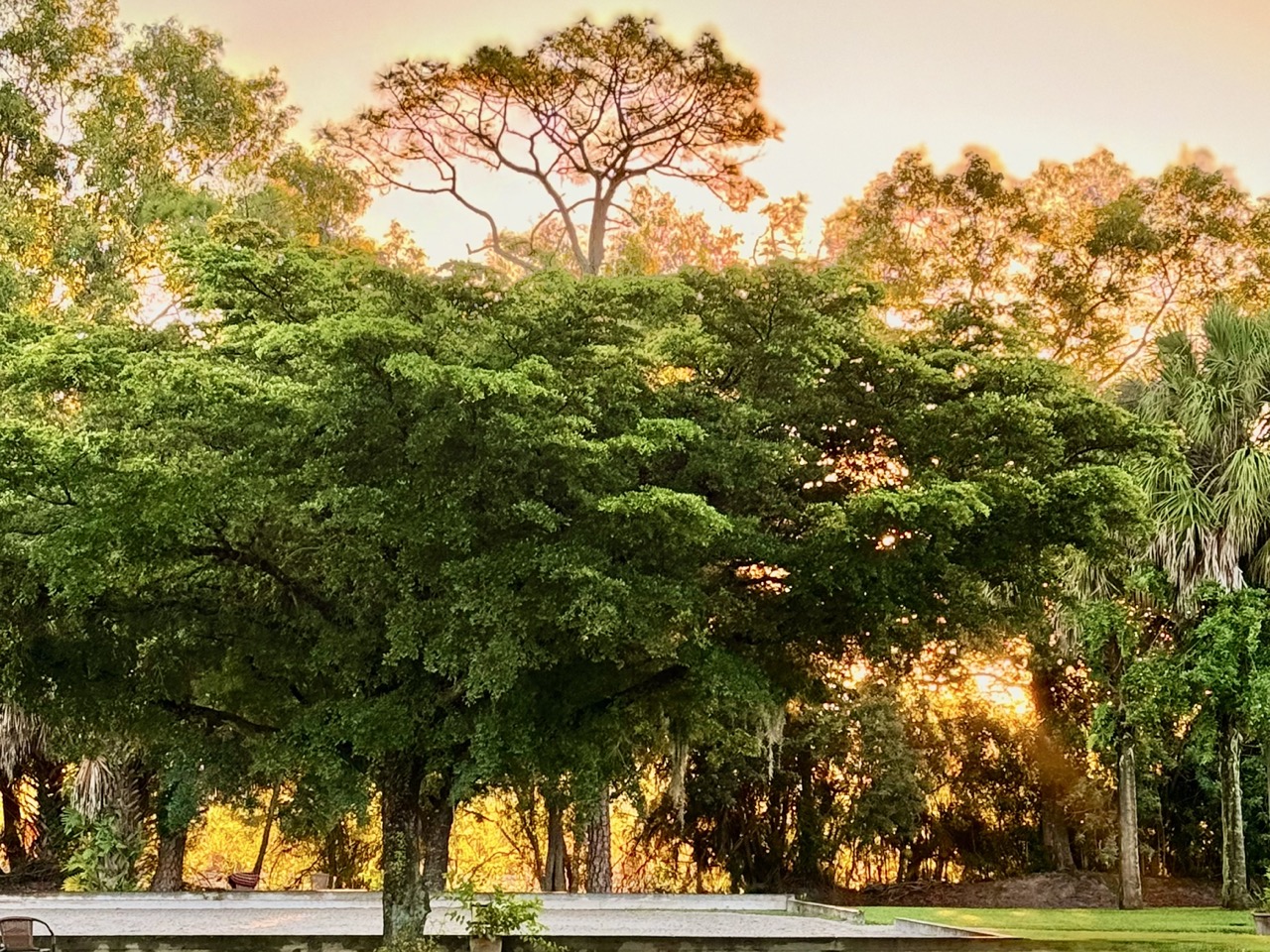 Cultivating Gratitude: The Science and Spirit of Thankfulness